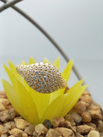 Load image into Gallery viewer, 14k Yellow Gold Diamond Ring