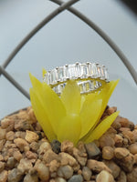 Load image into Gallery viewer, 3ct Emerald Cut Lab Created Diamond Eternity Wedding Band 14k White Gold Plated