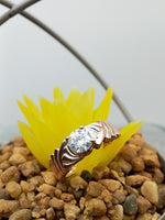 Load image into Gallery viewer, 14 kt Rose Gold Single Diamond Ring