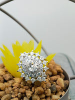 Load image into Gallery viewer, 1.0 carat oval Lab Grown Engagement Ring