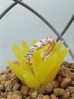 Load image into Gallery viewer, 14k Rose Gold Round Cut Diamond Eternity Ring
